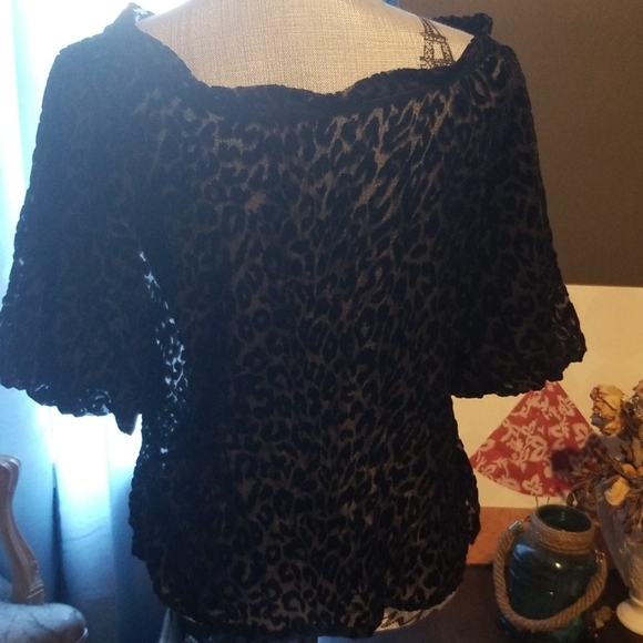 Elegant Black Top - Picture 4 of 5